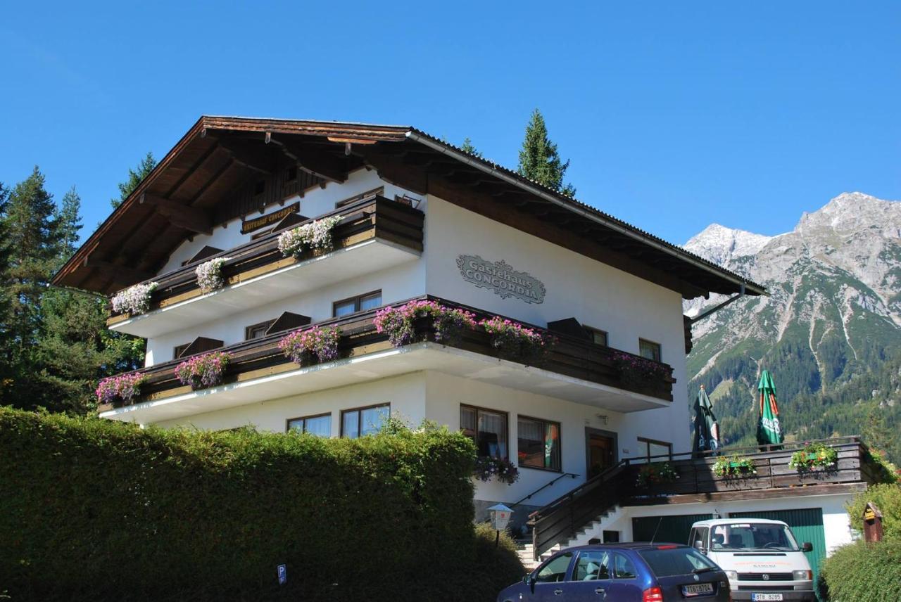 Pension Concordia aktuel Ramsau am Dachstein Bagian luar foto